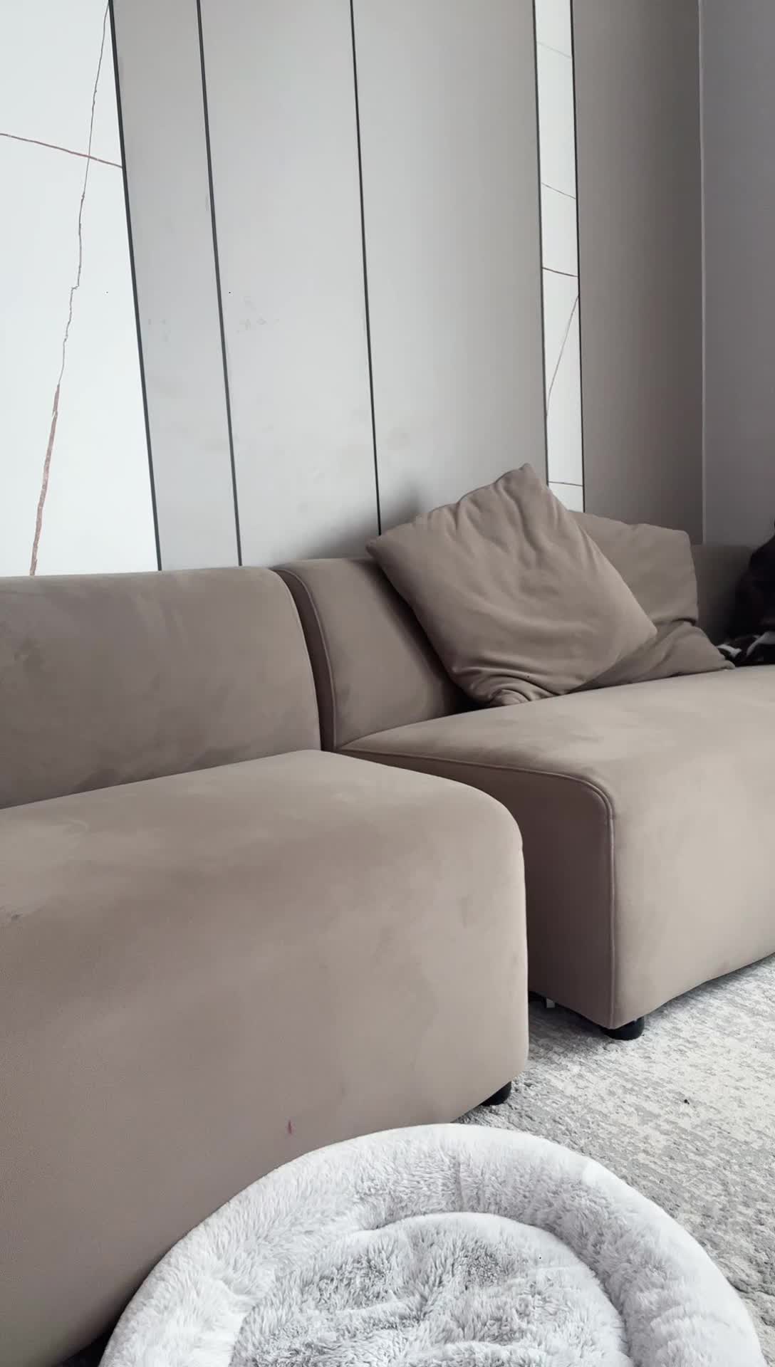 龙春燕子_2025-04-21_12-31-31_111