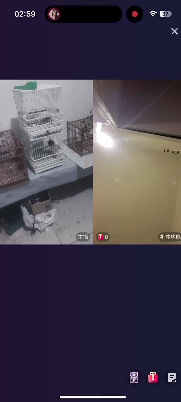 快手抖音pk惩罚全裸大尺度惩罚 (23).MP4