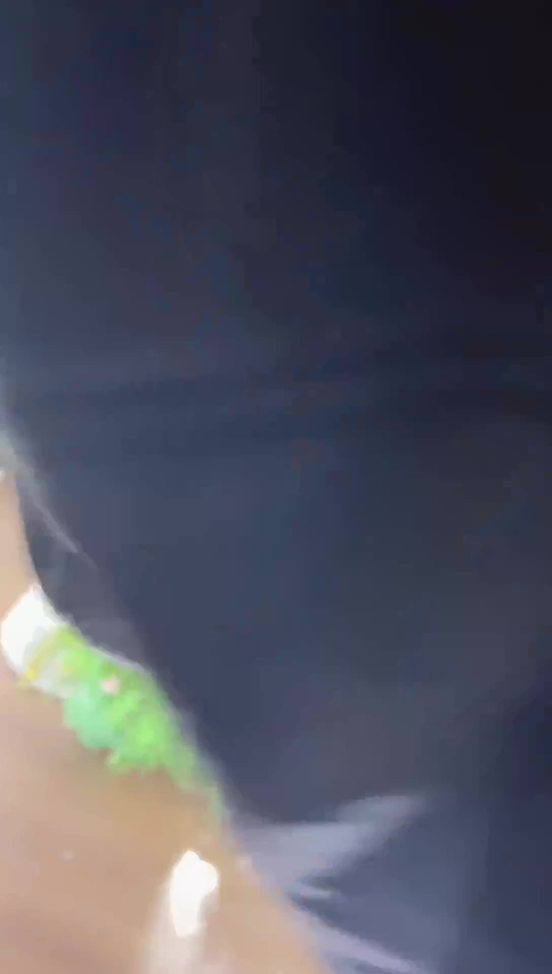 心雅_光羽写真馆_2025-12-19_19-43-25_091