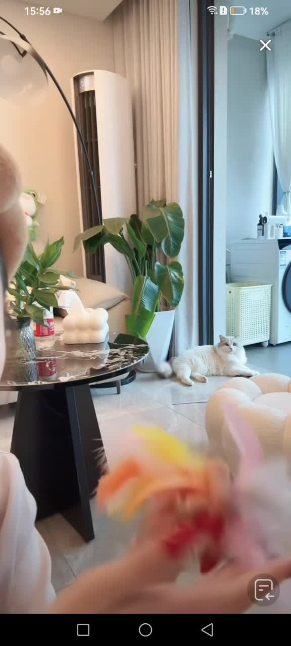 kanlupingcom直播回放网1 (22).MP4