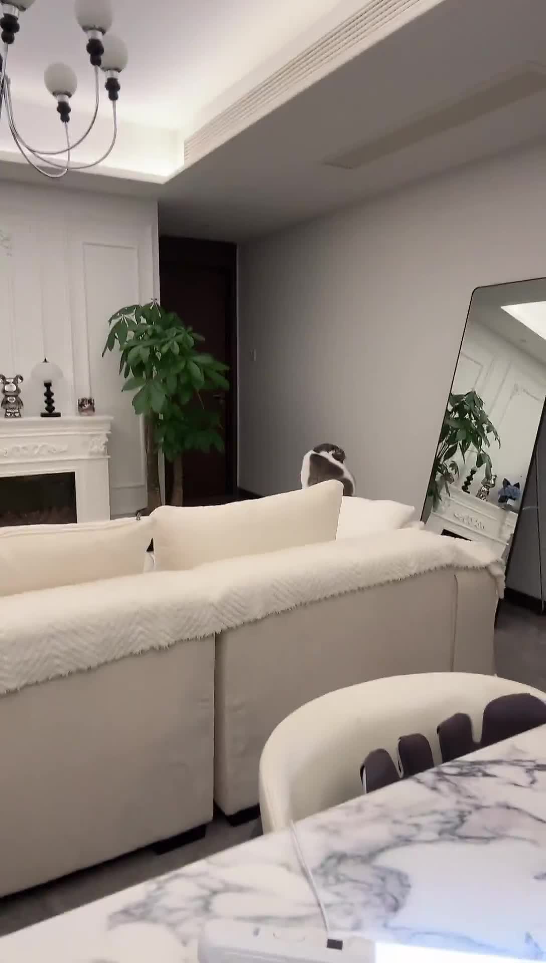 查干乌勒_Wulle☁️_2026-02-06_19-47-01_558