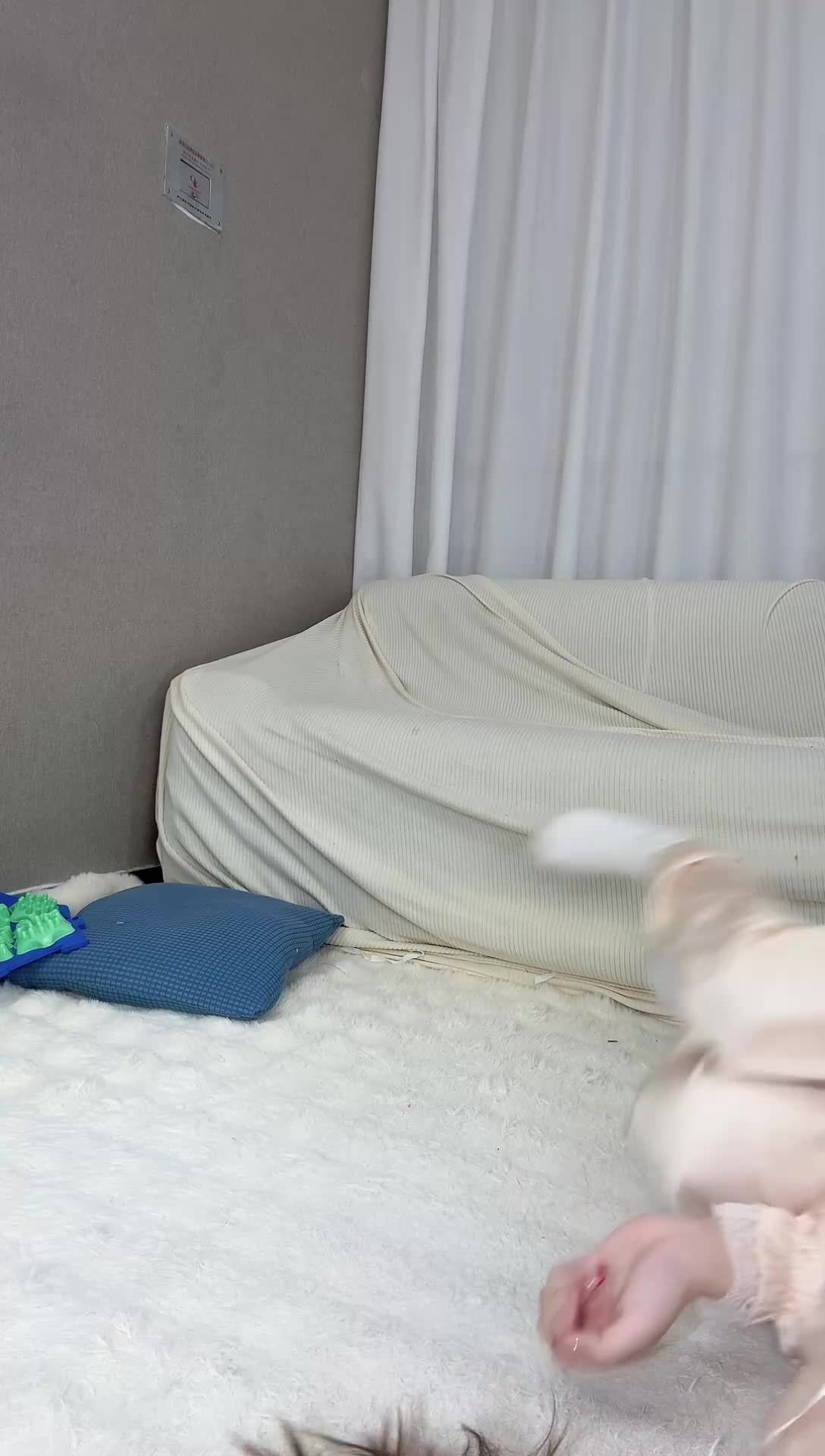 夹心狗带鱼_2026-04-04_11-09-47_019