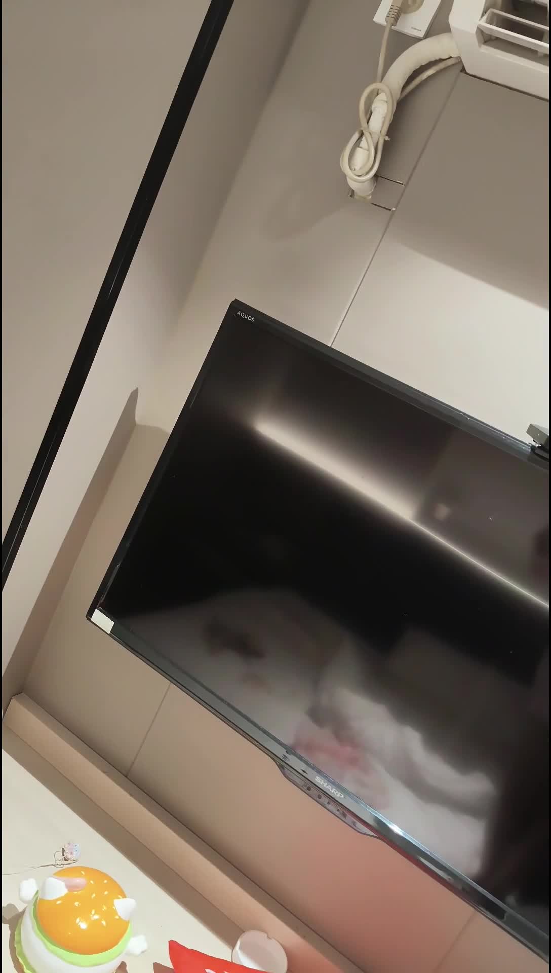 614217198