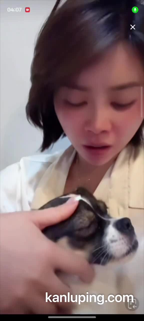 好狗好狗主人的奶子看见了.MP4